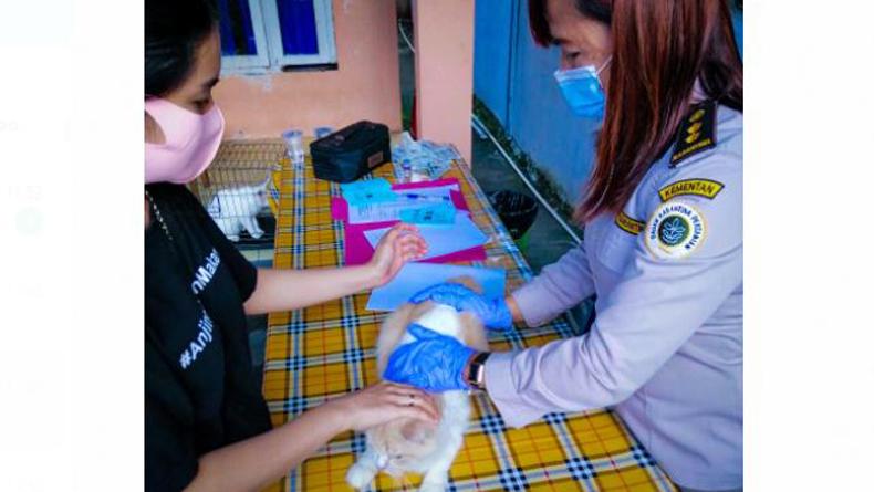 Sinergi untuk Sulut Bebas Rabies, Ratusan Hewan Peliharaan Divaksin 