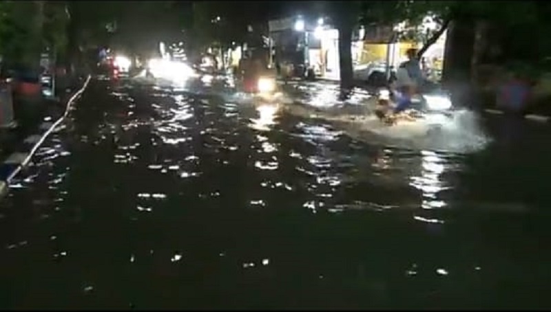 Hujan Lebat di Bojonegoro Sebabkan Banjir dan Pohon Tumbang