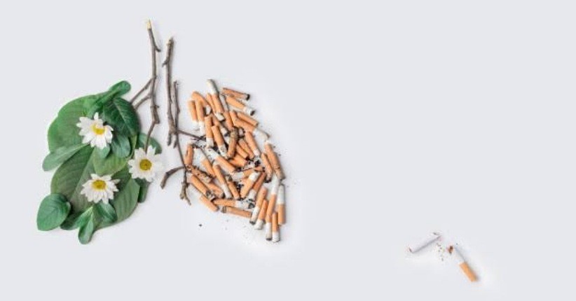 Tembakau Alternatif Miliki Risiko Rendah terhadap Penyakit, Ini Penjelasannya