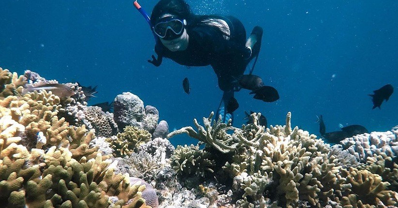 Ingin Eksplorasi Wisata Selam di Bunaken saat New Normal, Ini Syaratnya