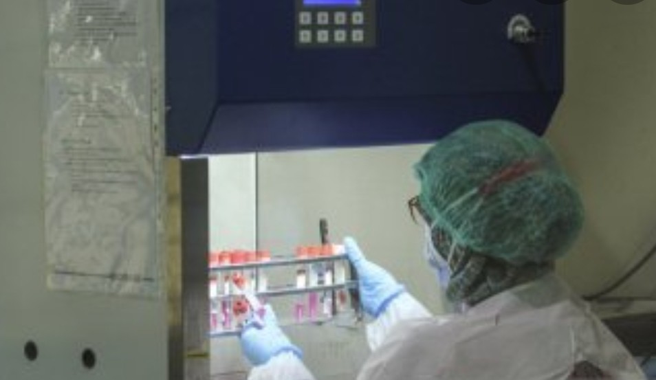 Penuhi Permintaan, Bio Farma Tingkatkan Produksi Alat PCR hingga 2 Juta Unit