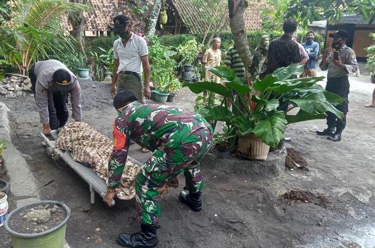 Tragis, Kakek di Kulonprogo Tewas Terjatuh dari Pohon Kelapa 