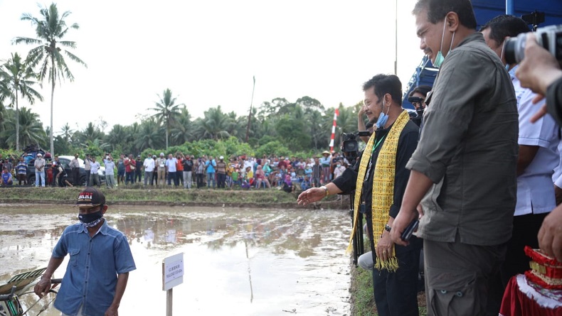 Kunjungi Halut, Mentan SYL Lihat Proses Tanam dan Panen Padi dengan Sistem Mekanisasi