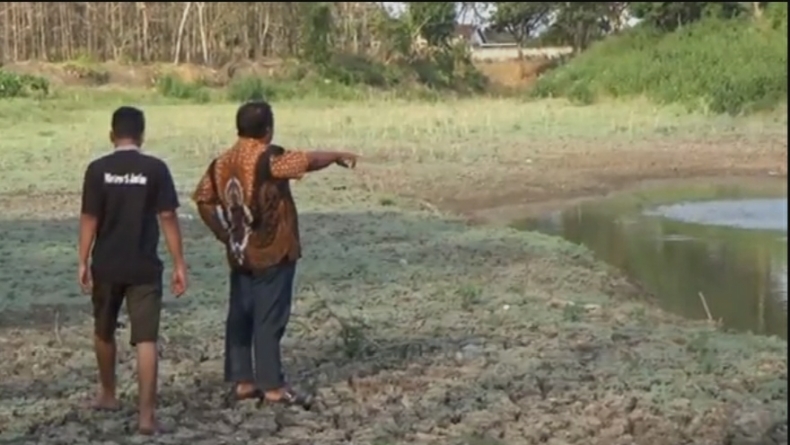 Waduk Kering akibat Kemarau, Petani Tembakau di Jombang Terancam Gagal Panen