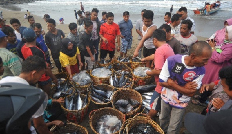 Ini Model Bisnis Korporasi Petani dan Nelayan yang Disiapkan Pemerintah