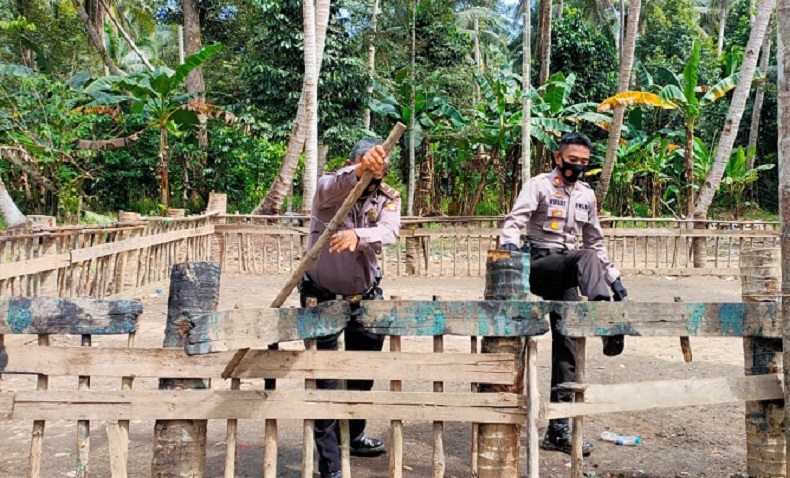 Penggerebekan Judi Sabung Ayam di Kubu Raya Bocor, Polisi Hanya Bongkar Arena