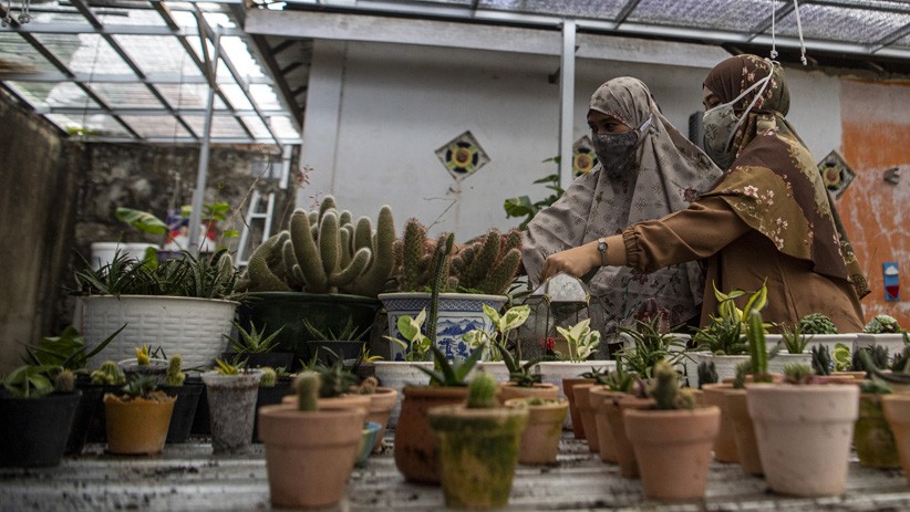 5 Tanaman yang Tidak Boleh Ditanam di Depan Rumah Menurut Islam