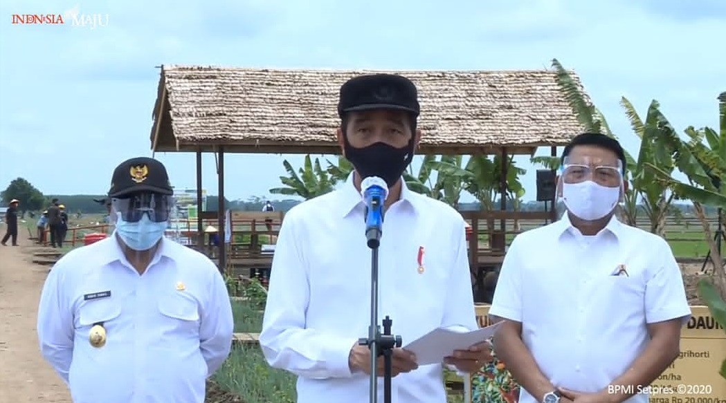 Jokowi Beberkan Model Bisnis Food Estate di Kalteng