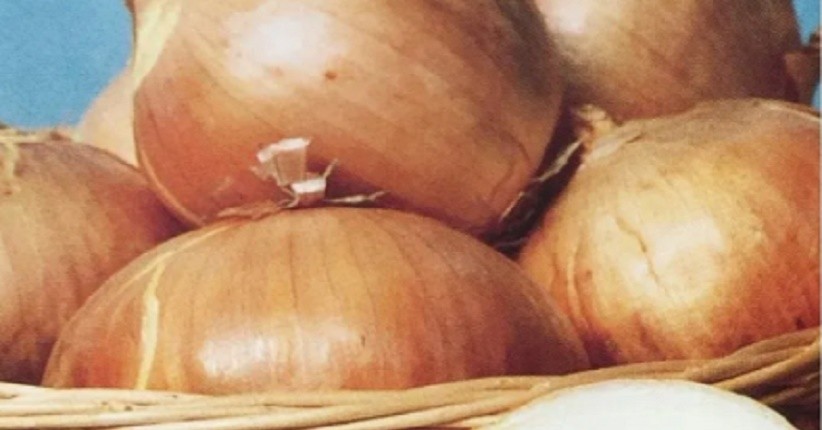 Facebook Tolak Iklan Bawang karena Dianggap Terlalu Seksi