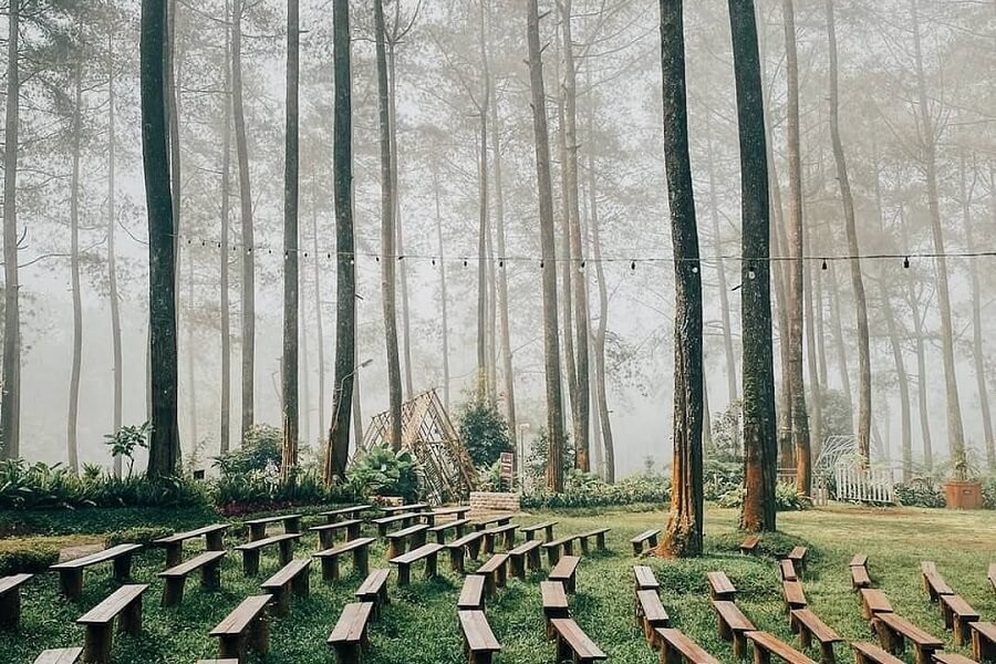 5 Tempat Wisata di Lembang Terhits, Ada Hutan Instagramable hingga Pasar Apung