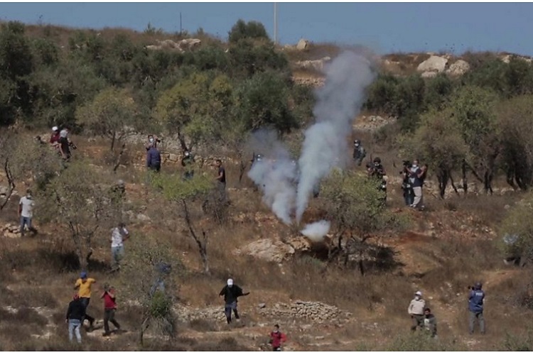 Petani Palestina dan Warga Israel Bentrok di Tepi Barat, Rebutan Panen Zaitun