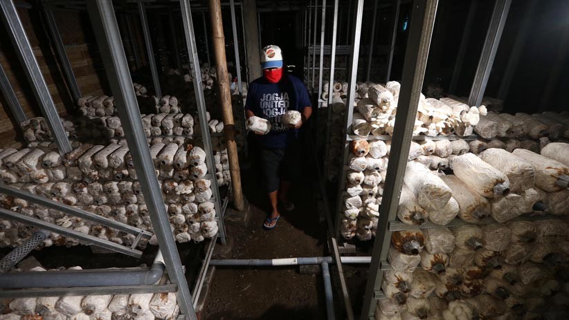 RI Darurat Literasi Digital, Bagaimana Dampaknya Terhadap Pengembangan UMKM?