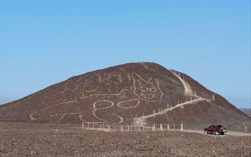 Arkelog Temukan Gambar Kucing Raksasa Misterius Berusia 2.000 Tahun