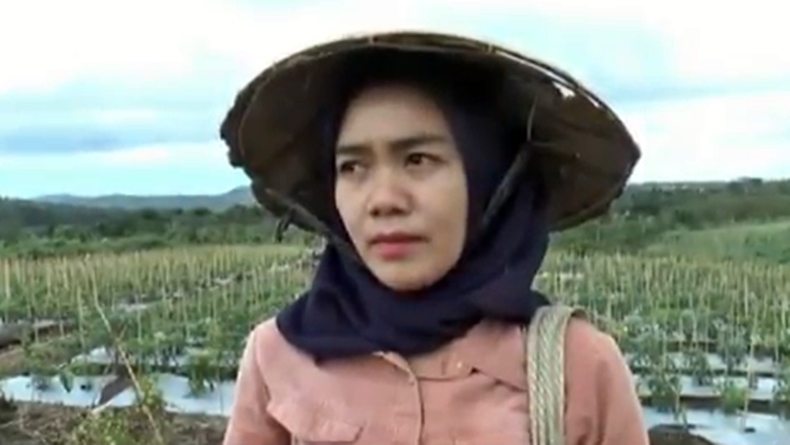 Ketika Mahasiswi Cantik di Pagaralam Jadi Buruh Petik Cabai