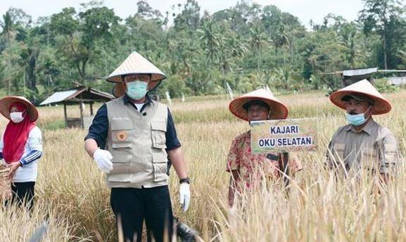 Pemprov Sumsel Rekrut 1.000 PPL, Ini Persyaratan dan Kualifikasinya