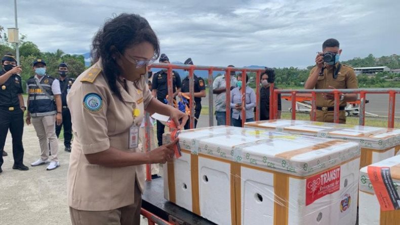 UMKM Papua Ekspor Perdana Kepiting Bakau ke Singapura