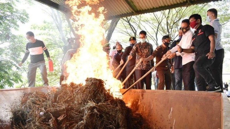 Musnahkan Barang Bukti, Polres Payakumbuh Bakar Hampir 100 Kg Ganja