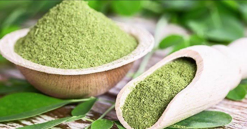 Selain Kunyit, Bahan Alami Daun Kelor dan Meniran Bisa Tingkatkan Imunitas