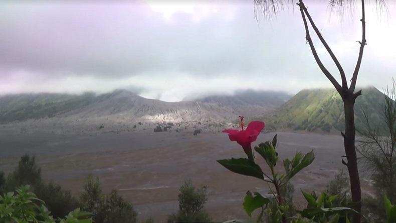 Rentan Letusan Freatik, Wisatawan Gunung Bromo Diimbau Tidak Masuk Radius 1 Km dari Kawah