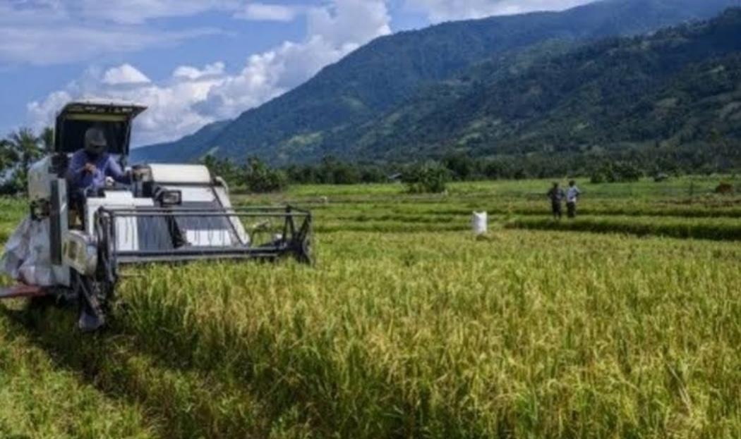 Mentan Proyeksi Produksi Beras pada Musim Pertama 2021 Capai 20 Juta Ton