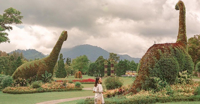 5 Spot Taman Bunga Nusantara Paling Populer, Ada Labirin hingga Kebun Mawar