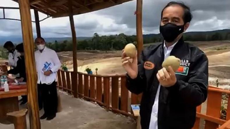 Program Food Estate Presiden Jokowi di Kapuas Jadi Langkah Persiapan Ketahanan Pangan
