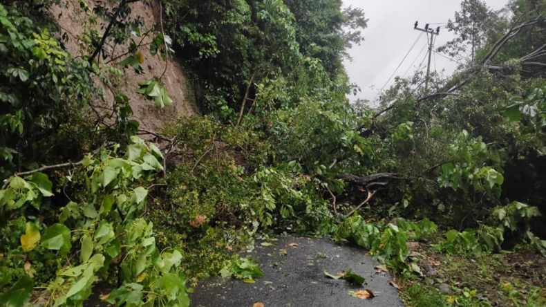 Jalan Kampung Tertutup Longsor, 40 Warga di Patuk Terisolasi
