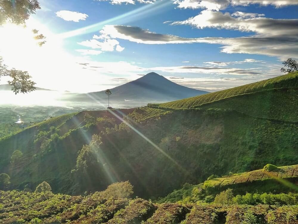 Ide Wisata Darajat Pass Garut, Segar Berendam Air Panas di Puncak