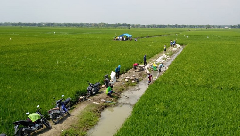 Miliki Lahan Luas, Lebak Ingin Punya Food Estate