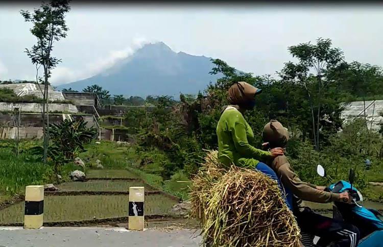 19 Kali Gempa Guguran di Merapi, BPPTKG: Asap Kawah Teramati Berwarna Putih