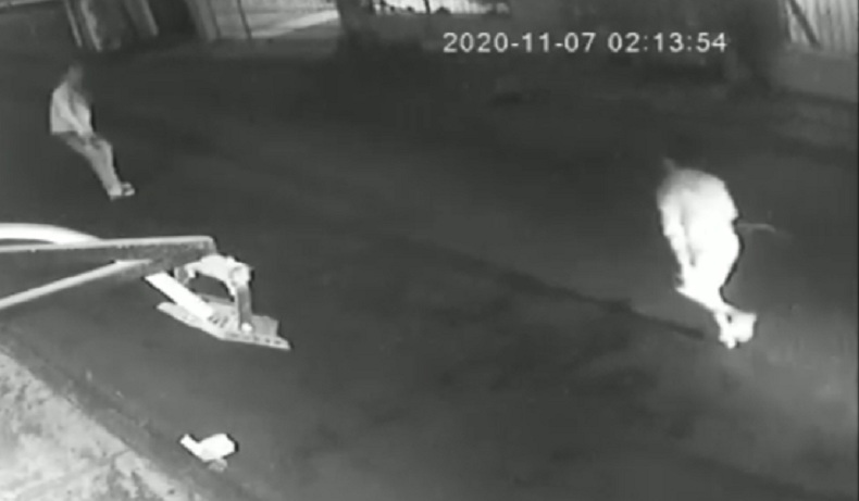 Terekam CCTV, Geng Motor Brutal Serang Warga di Tanah Sareal Bogor