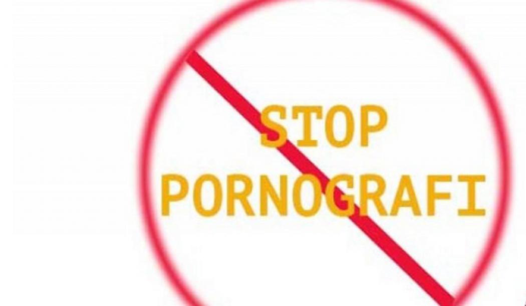 Gawat, Indonesia Memasuki Keadaan Darurat Pornografi