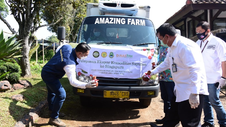 Sepanjang 2020 Ekspor Hortikultura Jabar 2020 Tembus Rp3 Triliun