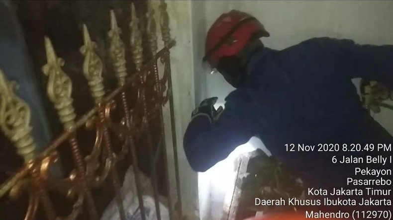 Damkar Evakuasi Ular Kobra 1,5 Meter di Rumah Warga Pasar Rebo