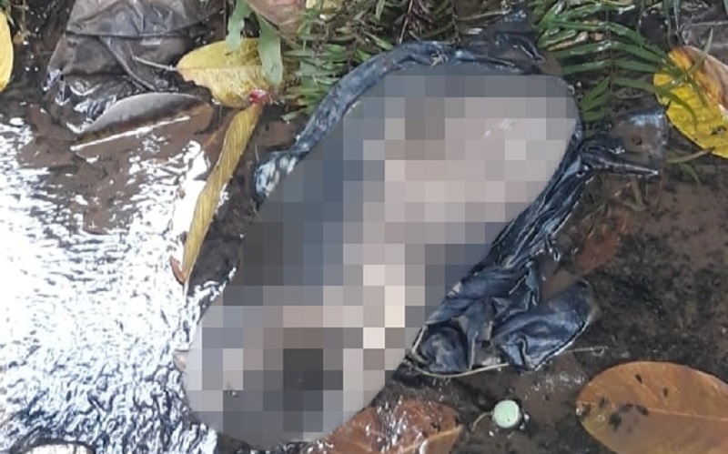 Geger Cibinong, Warga Temukan Jasad Bayi Terbungkus Plastik di Selokan