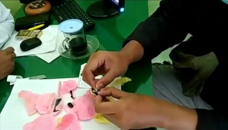 Sabu dalam Kerupuk Diselundupkan ke Lapas Kelas IIB Jombang