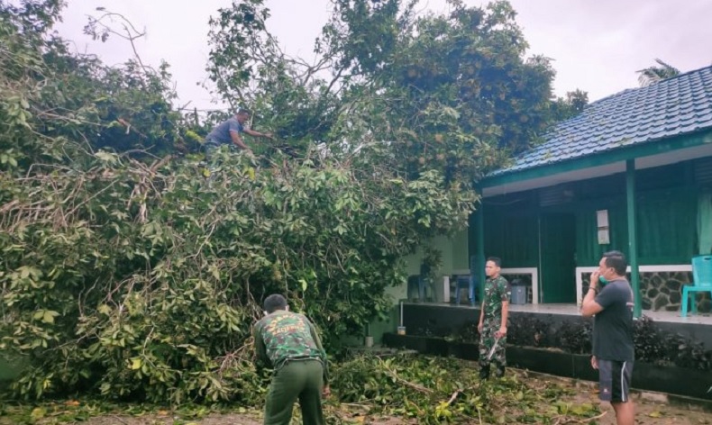Pohon Tumbang Menimpa Posko Pilkada Kapuas Hulu di Kodim Putussibau