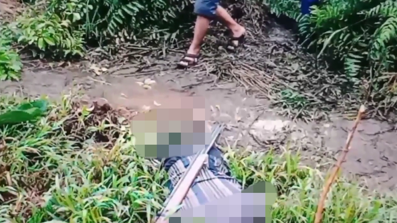 Tak Sengaja Injak Perangkap Babi Berlistrik, Warga Muba Tewas