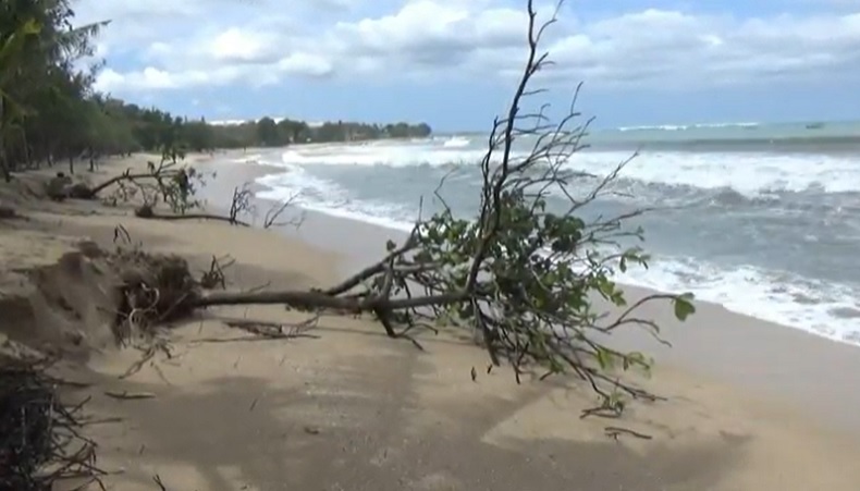 Gelombang Tinggi Picu Abrasi Pantai Kuta, Pohon Perindang Roboh
