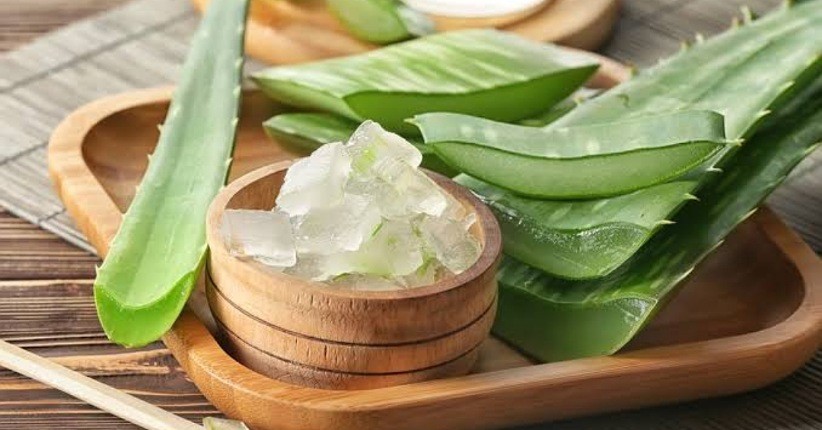 10 Cara Mengolah Lidah Buaya Menjadi Makanan dan Minuman Enak