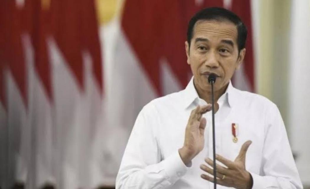 Selain Tingkatkan Ekonomi, Jokowi Sebut UU Ciptaker Lindungi Hutan Tropis