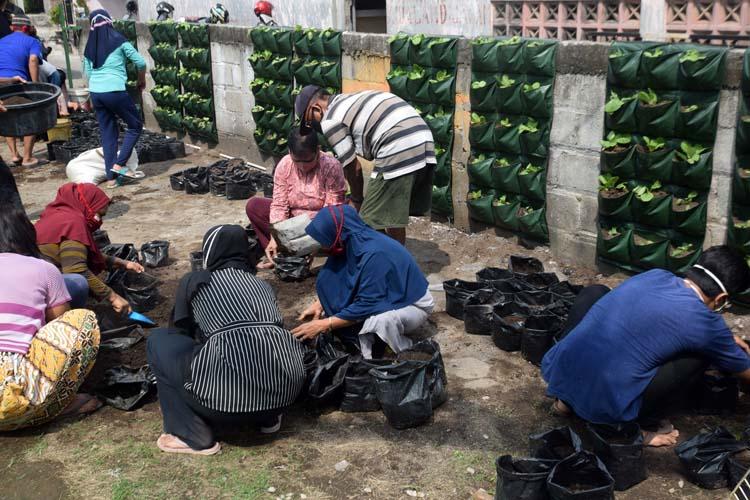 Berada di Jalur Pembuangan Sampah, Warga Bambankerep Semarang Dilatih Urban Farming