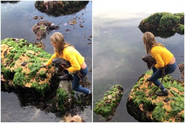 Bocah Perempuan Australia Selamatkan Hiu yang Terjebak di Karang saat Laut Surut