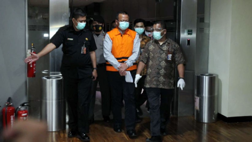 KPK Buru 2 Orang terkait Dugaan Suap Ekspor Benih Lobster, Salah Satunya Staf Edhy Prabowo