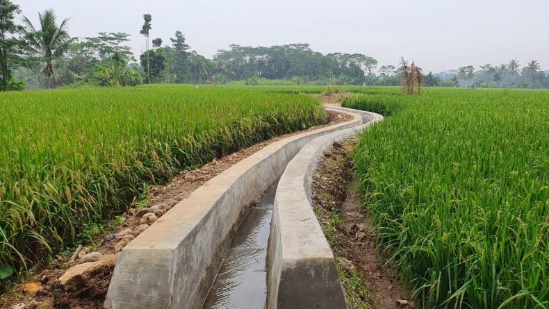 Kementan Gandeng PUPR Tingkatkan Jaringan Irigasi untuk Kejar Produksi Beras 35 Juta Ton Tahun Depan
