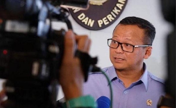 Kasus Korupsi Ekspor Benur, Effendi Gazali Sebut Edhy Prabowo Kecolongan