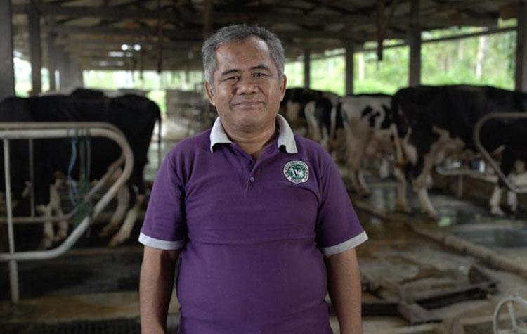  Begini Kiprah Daud Suroto Wujudkan Sentra Susu Sapi DIY