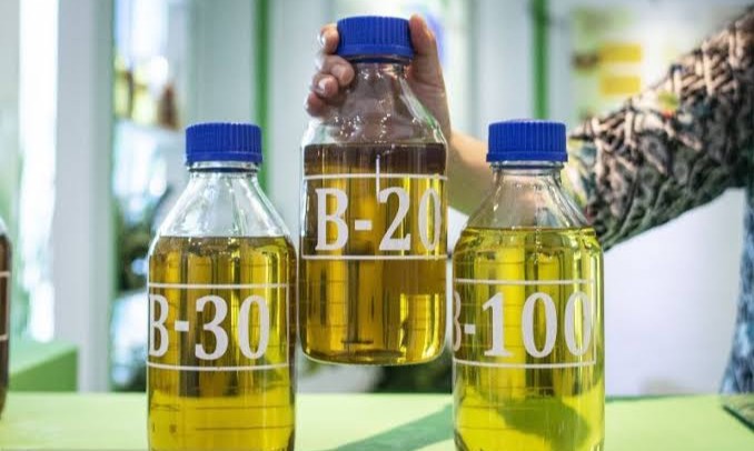 3 Pasar Utama Produk Sawit Indonesia Diproyeksi Pulih Tahun Depan