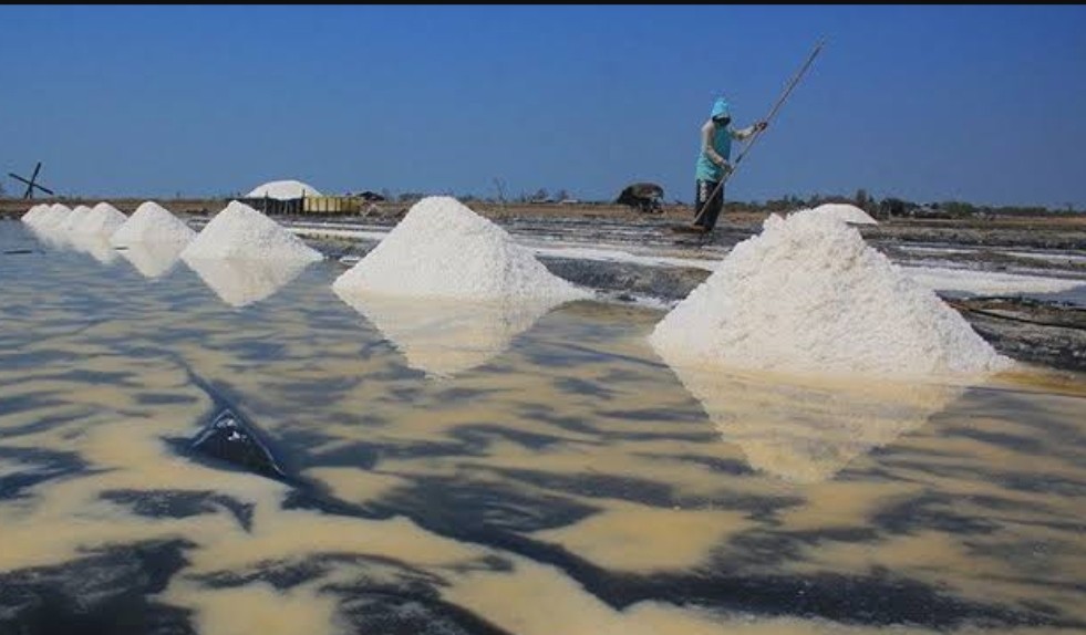 Indonesia Diprediksi Makin Kencanduan Impor Garam