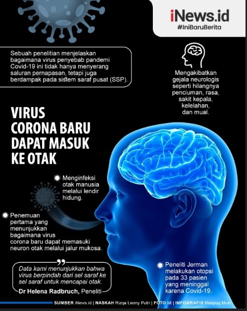 Infografis Virus Corona Baru Dapat Masuk ke Otak